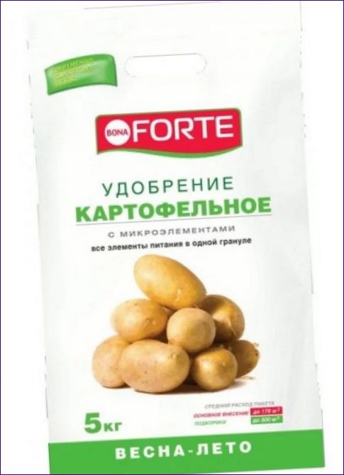 Ziemniak Bona Forte