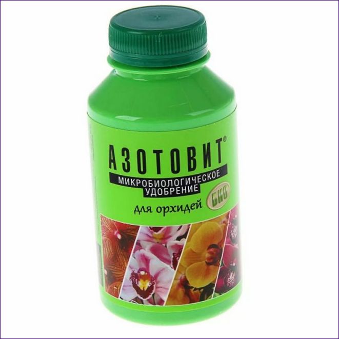 Nawóz Azotovit do storczyków, skoncentrowany butelka PET, 0,22 l