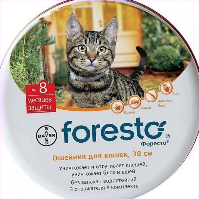Foresto (Bayer) dla kotów 38 cm